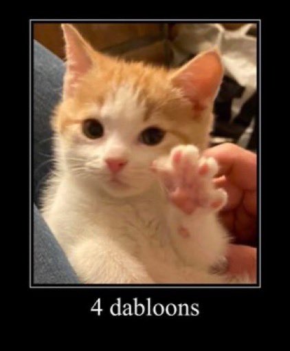 ᨐ (@sodakltty) on Twitter photo 