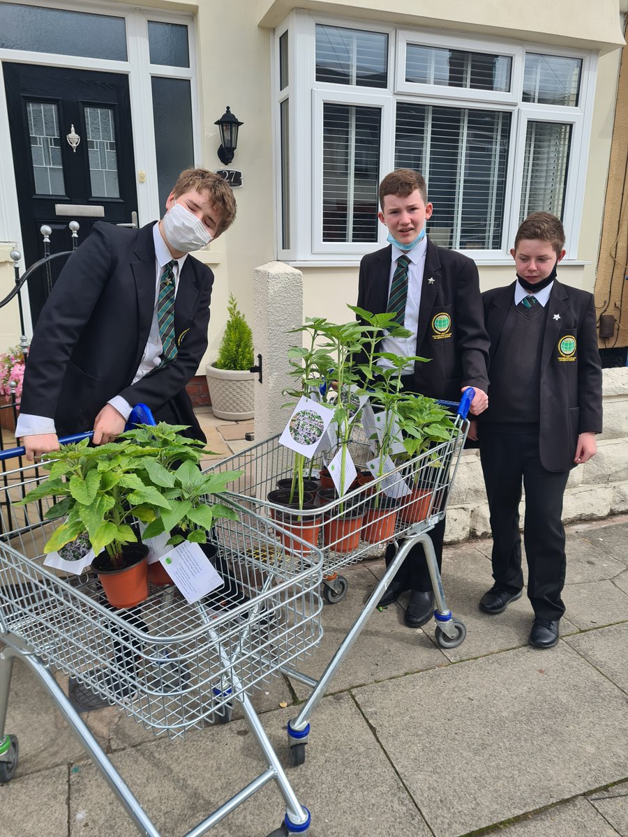 Some of our students have been doing a sunflower project in school with Mr. Bradshaw and were able to deliver some fantastic plants to our local residents last week :)
