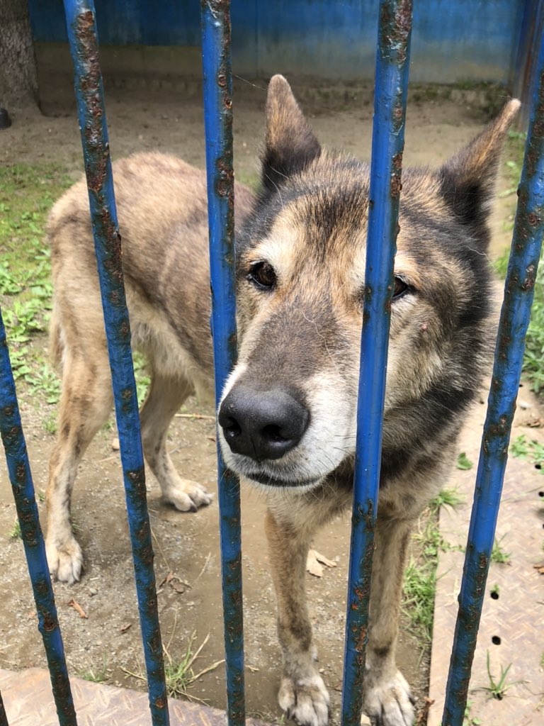 ゆっぴー Rapit2400 Twitter