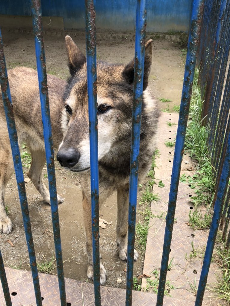 ゆっぴー Rapit2400 Twitter