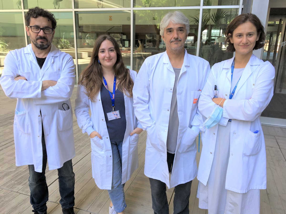 Combinar quimioteràpia i inhibidors de l'oncogen BRAF  és una estratègia molt efectiva per lluitar contra el #melanomametastàtic, la principal causa de mortalitat per #càncerdepell al món. 

👉bit.ly/3i2Fqx4

#TalentIMIM #OncoMAR