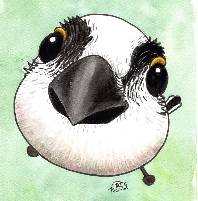 クチバシのtwitterイラスト検索結果 クチバシのtwitterイラスト検索結果