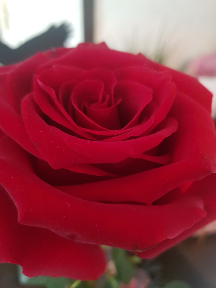 bonjour bonjour ! tout le monde va bien ?! 
....................
parfait c'est super 👌😜