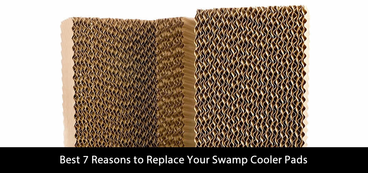 readyforten's tweet image. Top 7 Reasons to Replace Your Swamp Cooler Pads
readyforten.com/top-7-reasons-… #swampcoolerpads #readyforten #swampcooler