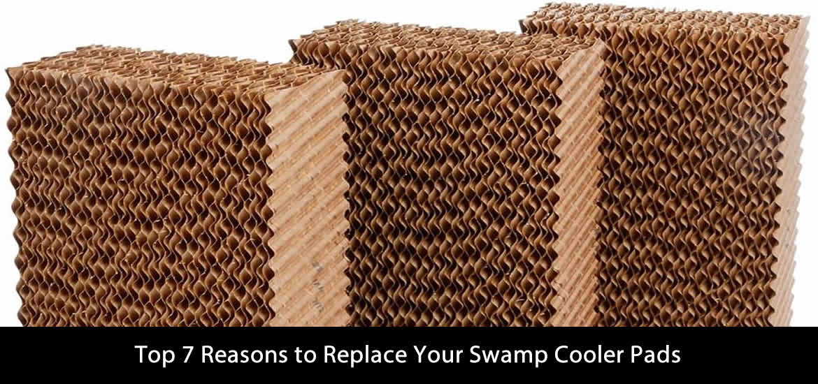 readyforten's tweet image. Top 7 Reasons to Replace Your Swamp Cooler Pads
readyforten.com/top-7-reasons-… #swampcoolerpads #readyforten #swampcooler