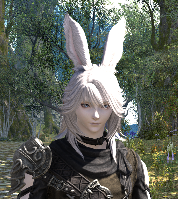RadiAster's tweet photo. #MyFFXIViera #FFXIV #FFXIVART Floofy... https://t.co/fyi52bcglR