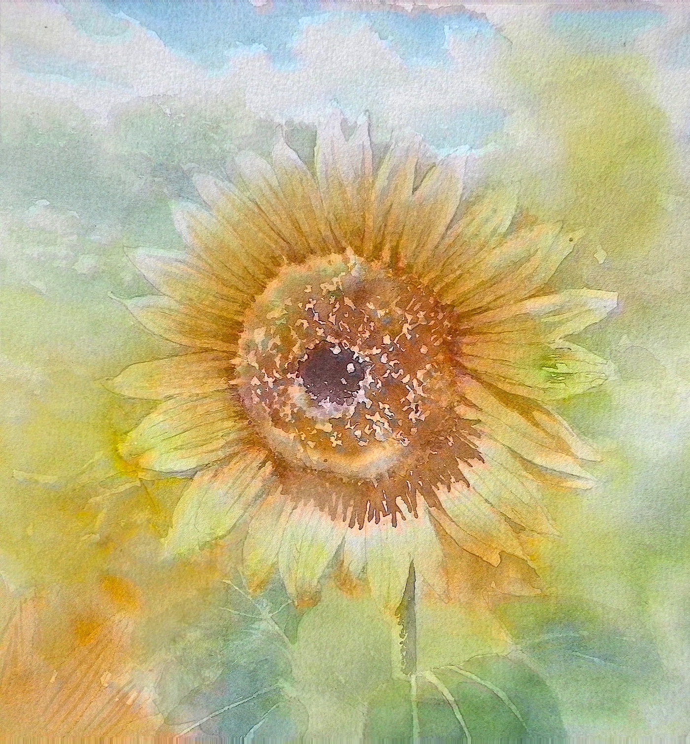 福井良佑 透明水彩 Watercolor on X: 