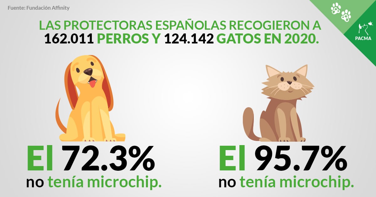 PacmaValencia's tweet photo. Les xifres són alarmants i encara hi ha persones que consideren que no és necessari posar el MICROXIP, encara que és obligatori per Llei ‼️
✅ Ajudaràs al fet que tornen amb la seua família.
✅ Evitaràs una gran angoixa a les persones que ho estaran buscant.
#AnimalsPerduts https://t.co/JpyW8OkXk6