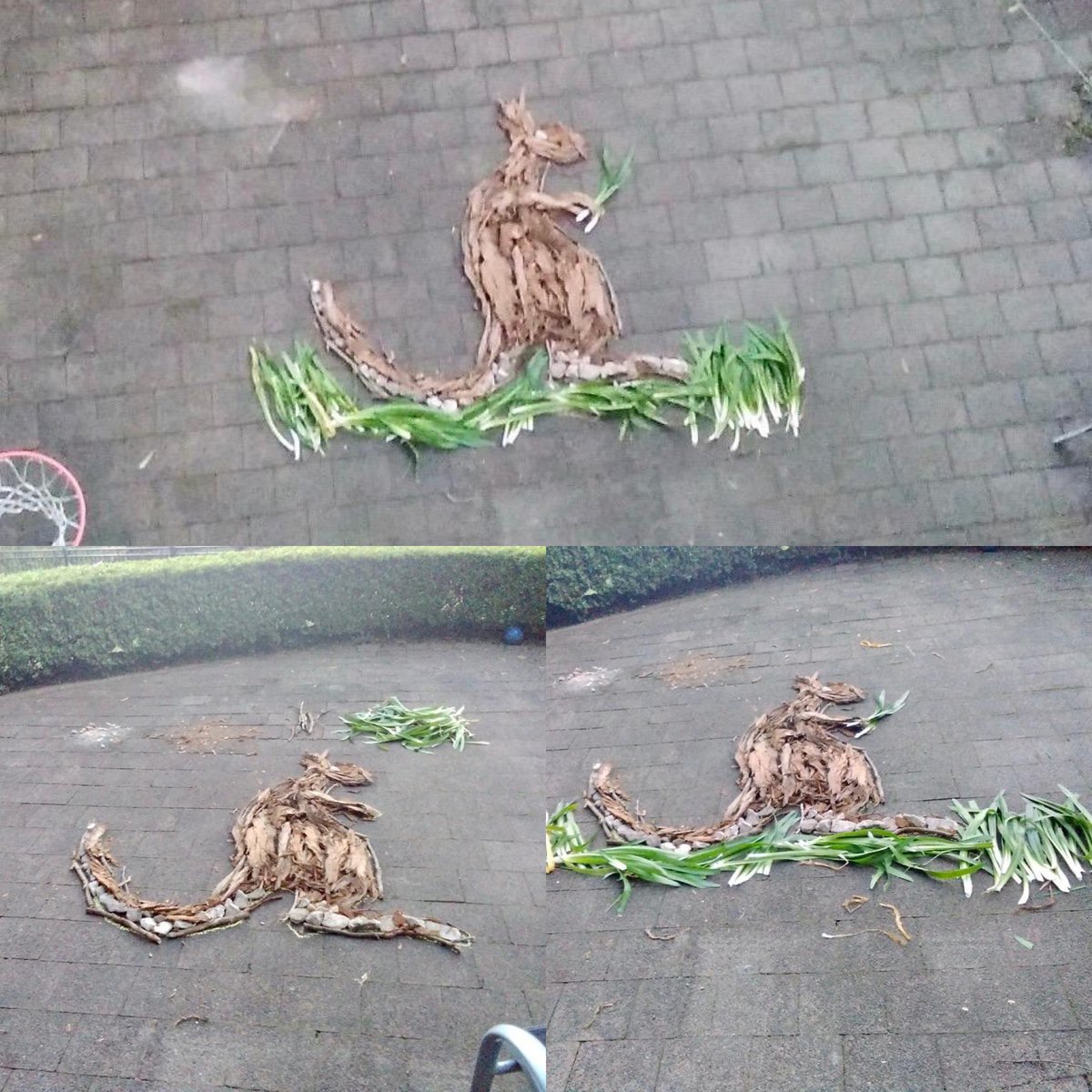 A big congratulations to this Stage 1 student for creating such an amazing ephemeral artwork, so much so a photo from a higher level needed to be taken. #NAIDOC2021