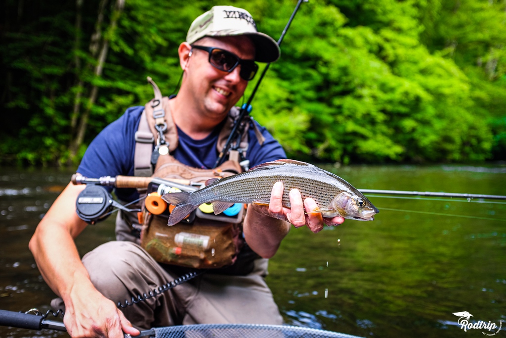 rodtripfishing's tweet photo. Really nice grayling from the high belgium river !
Good joob Mathias ! 
—
#rodtrip #rodtripflyfishing #visioninflyfishing #grayling https://t.co/nc1CbTG31G