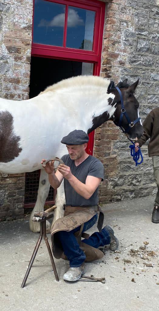 A pedicure and new designer shoes for Knick-knack!
