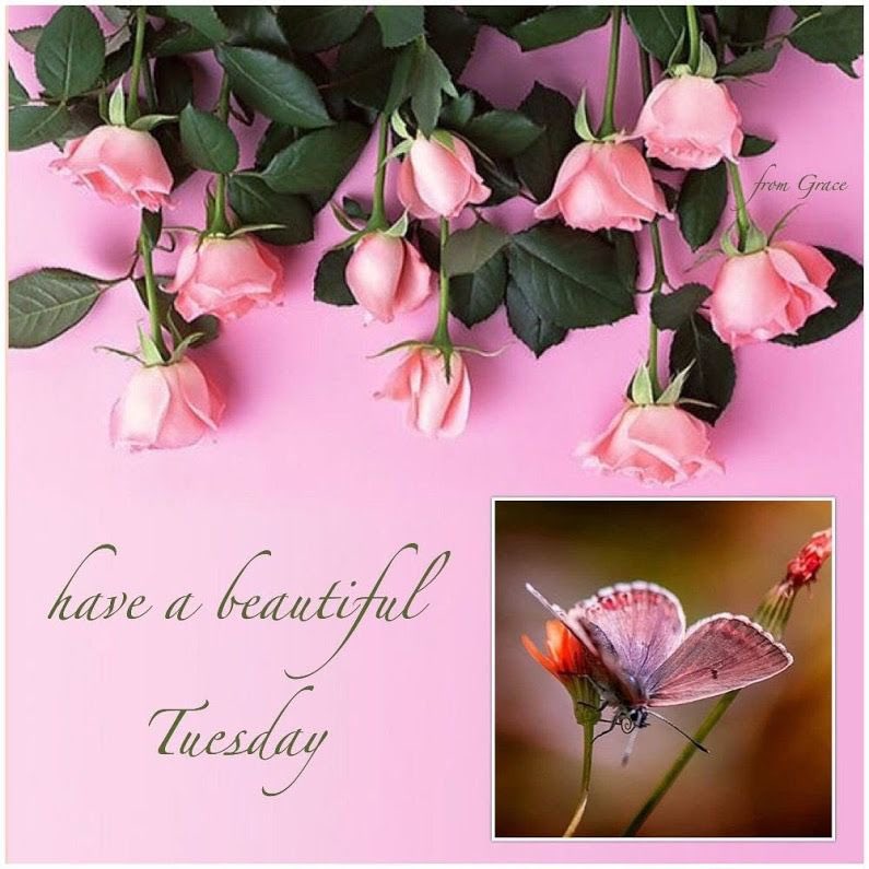 Princess3Rina's tweet photo. #HaveABeautiful #Tuesday
@BryanMatthews23 @Quinnqueens
@OldeHippieDude @ForevermanMedia
@BodaciousCopy @JonathanFesmire
@Dasha_Wallace @Tess_2020
@BearmanShannon @crystalnapolit2
@CaroLicar2 @skibickisteven https://t.co/qaed2eZm3e