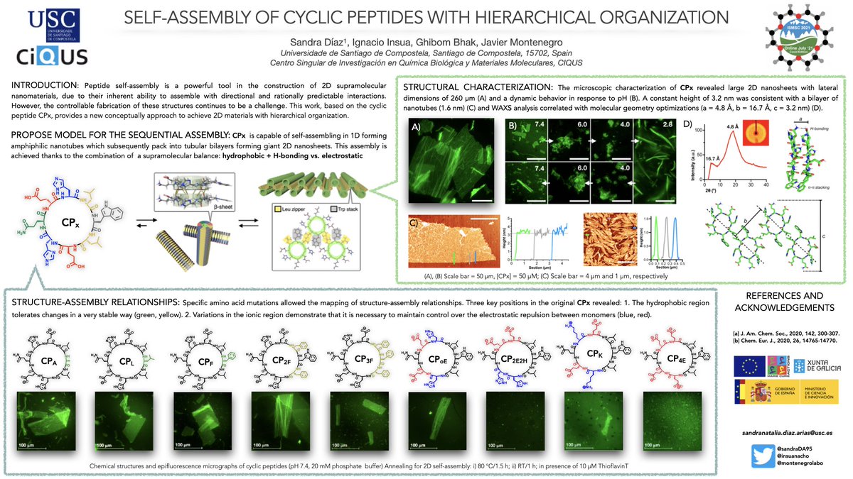 Delighted to show at <a href="/ismsc2021/">ISMSC2021</a> #ISMSCPoster our work based on sequential 1D-to-2D self-assembly of cyclic peptides. #POSTER80 <a href="/InsuaNacho/">Nacho Insua</a> <a href="/MontenegroLabo/">Montenegro Lab</a>