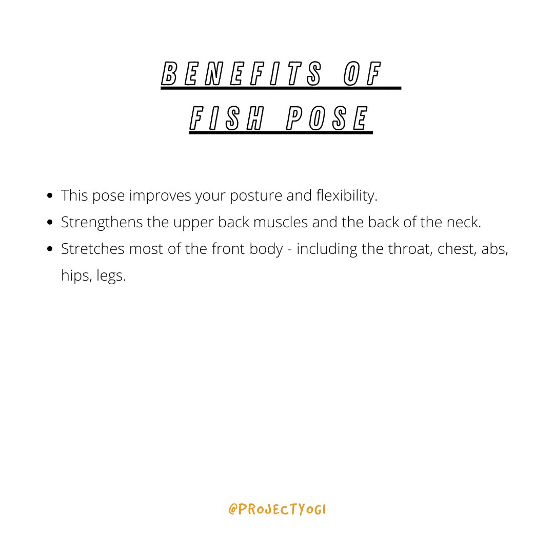 Project Yogi tweet media