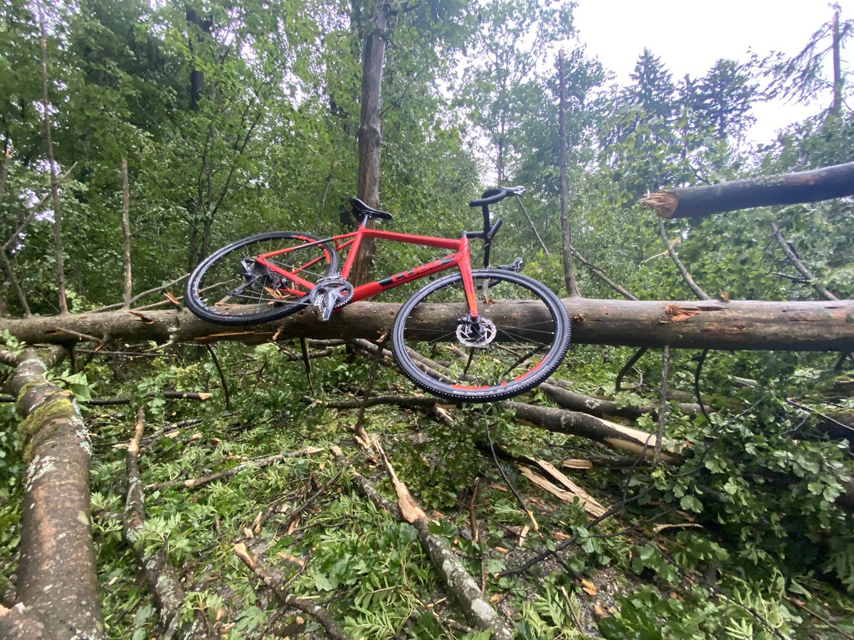 Sebastian Huber tweet media