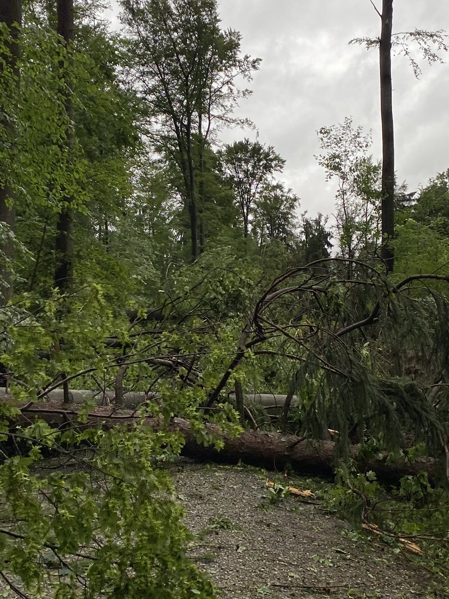 Sebastian Huber tweet media