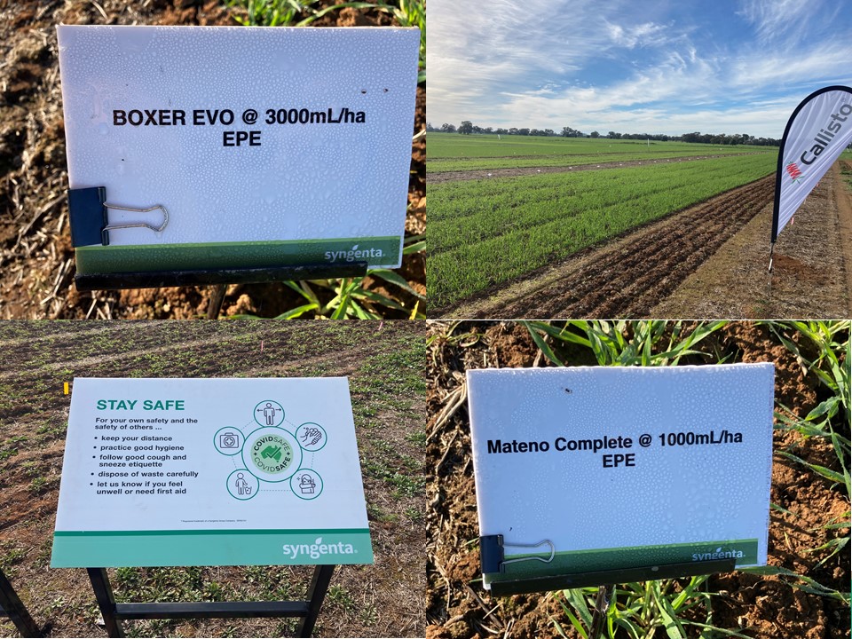 Great to see the 2021 Syngenta Learning Centre field days kick off in Wagga today (in a covid safe manner).
Site is looking fantastic with plenty to see. Showcasing Syngenta's new innovations and current portfolio along side current competitors and those soon to arrive!