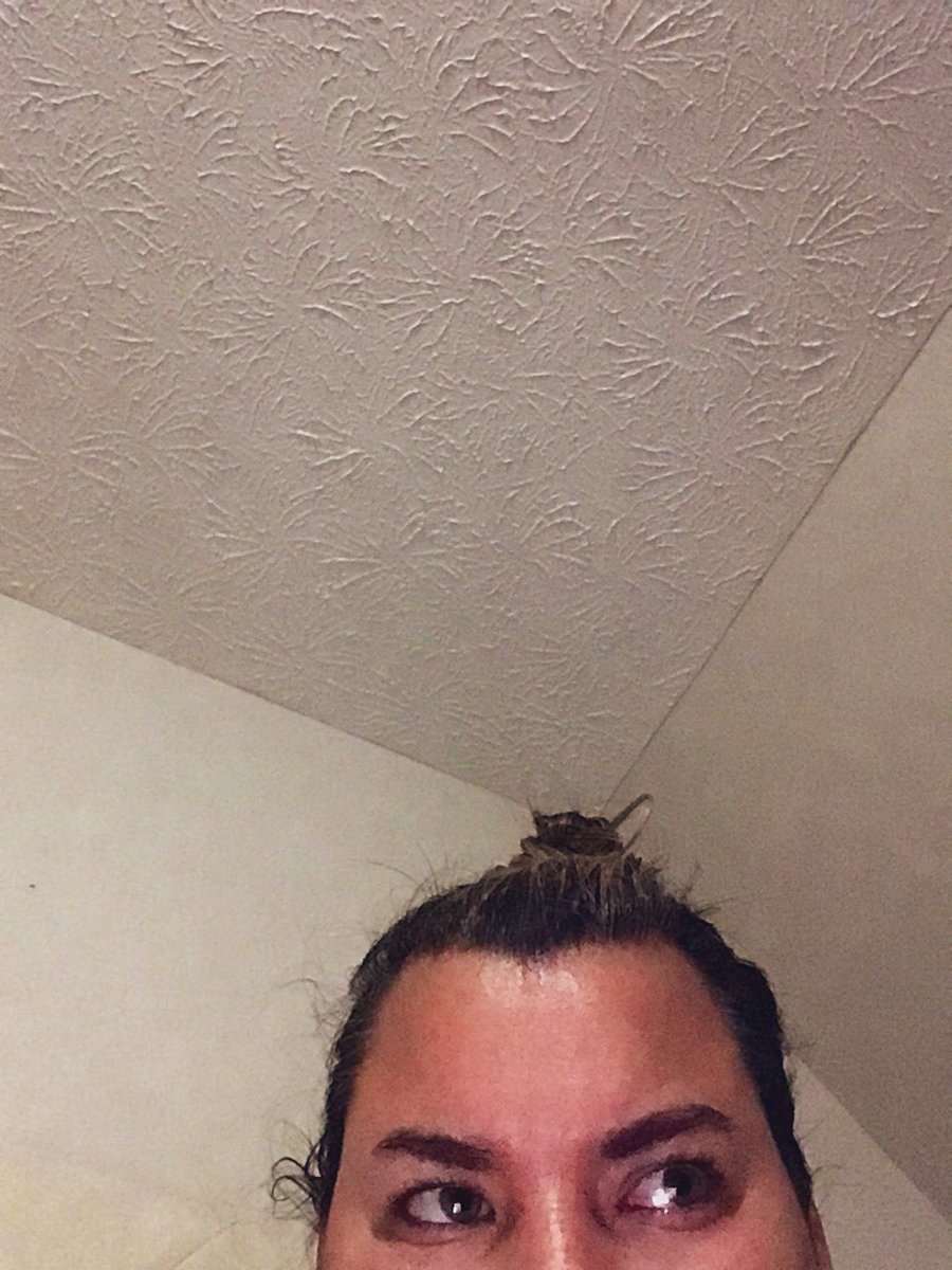 CaylaAnders's tweet photo. When something falls in your room at night and then suddenly your questioning your life for the past 17 years #wasthisalladream #howlonghaveibeensleeping https://t.co/WHW0GbmBej