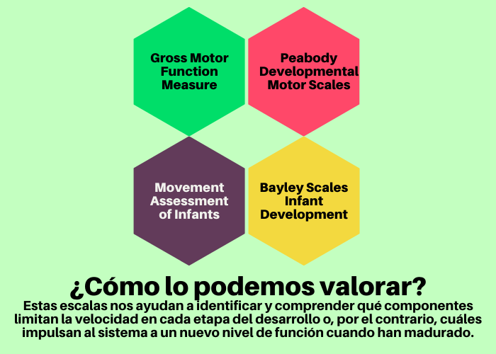 bi_neure's tweet photo. ¿Cómo podemos valorar alteraciones del #controlpostural en pediatría? https://t.co/SX3fw7svGp