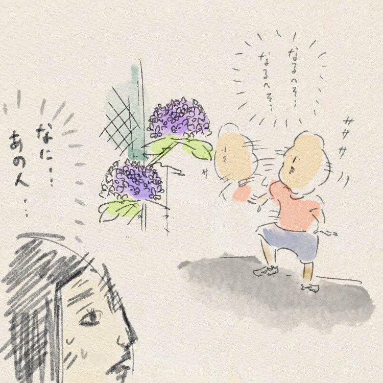 ご近所のお花を見て研究しています🐞。 