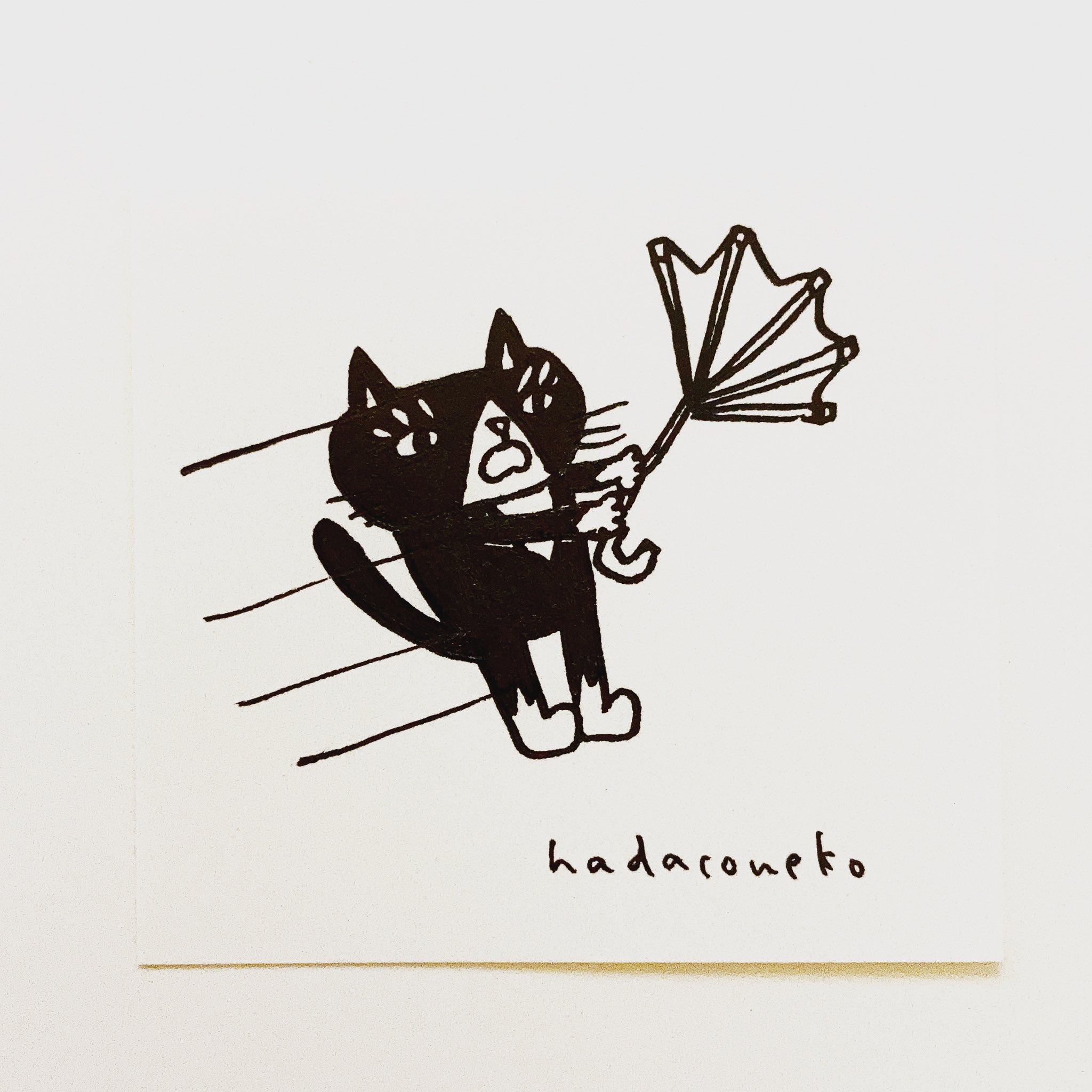 肌子 今日のイラストはコレ ｪ 傘が飛ばされそうになってる猫 イラスト 猫 ネコ ねこ オリジナル ペン画 アナログ画 絵 猫の絵 白黒猫 ハチワレ ハチワレ猫 T Co Dyvheka0cb Twitter