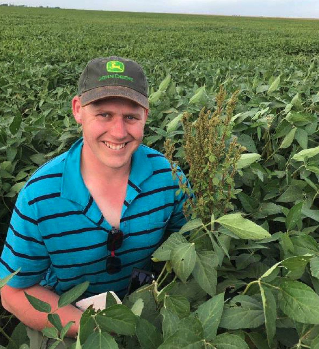 NuffieldFarming's tweet photo. It's @greatyorkshow week &amp; that means Yorkshire Scholar reports!

🌱 "Herbicide resistant weeds: investigating a sustainable future for arable farming" (2016) by @dikesmarshfarm - The title says it all!

Read the full report here 👉🏼https://t.co/7UelyTHwIB #arable365 #clubhectare https://t.co/Rb9NaSB17f