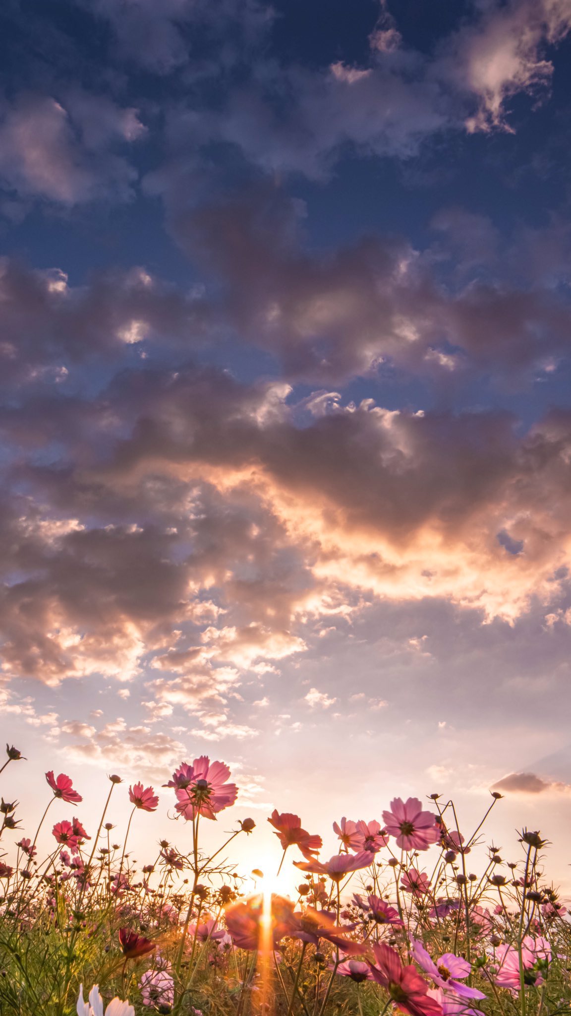 ざき 空の写真家 待ち受け画面にすることで 日々のストレスが8 軽減されるといわれています T Co Xmvmne3ylw Twitter