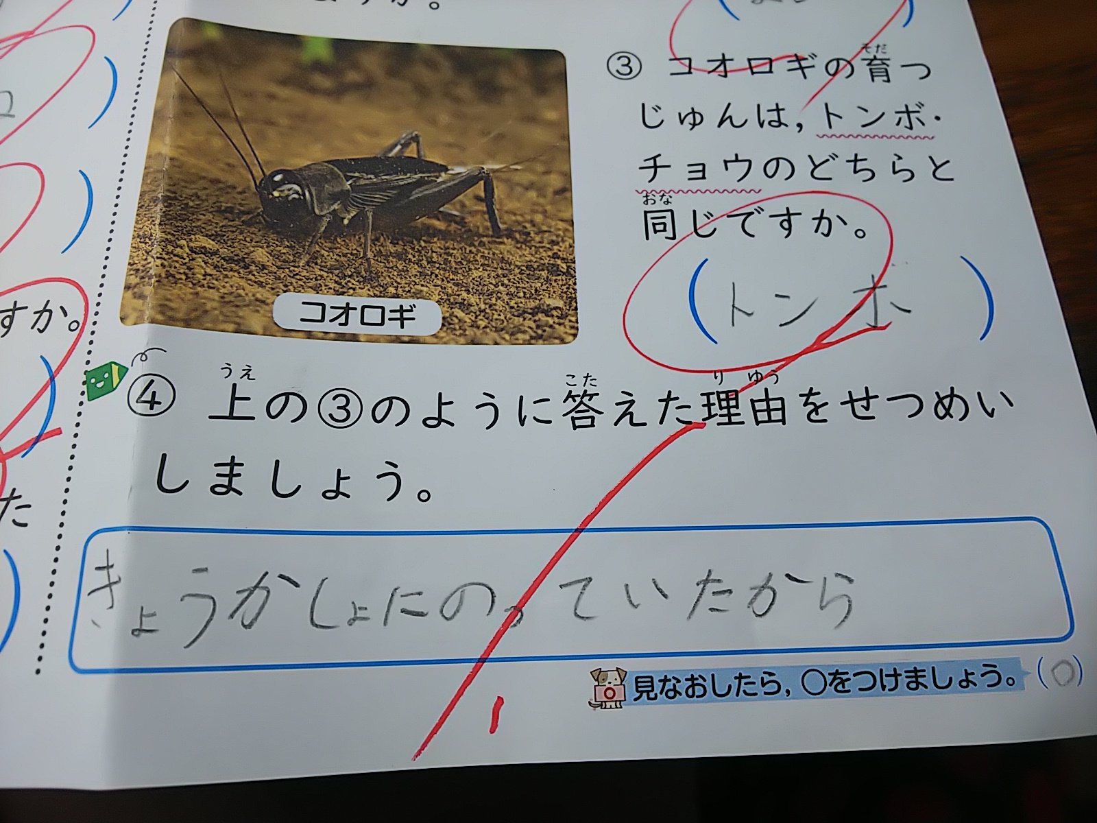 小学校 3年生 理科 テスト 答え Www Gapper Pe 小学校 3年生 理科 テスト 答え Www Gapper Pe