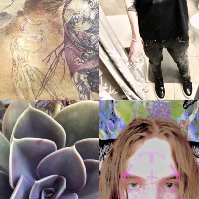 wastedyouth tweet media