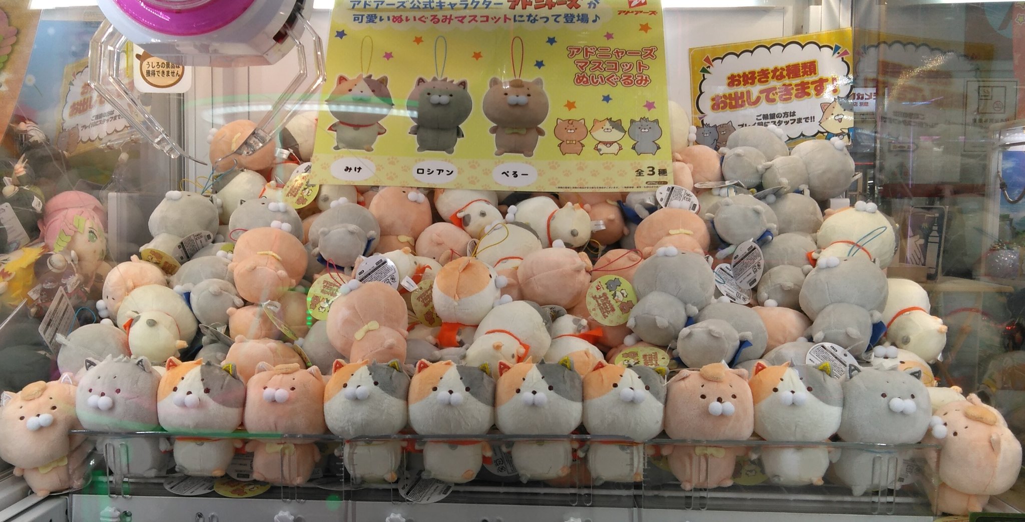 公式 アドアーズ町田店 景品情報 アドアーズのオリジナルキャラクター アドニャーズ アドニャーズ ぬいぐるみマスコット が登場しました みけ ロシアン ぺるーの全3種類 親バカみたいで何ですが 可愛くないですか 当店にご来店の際は