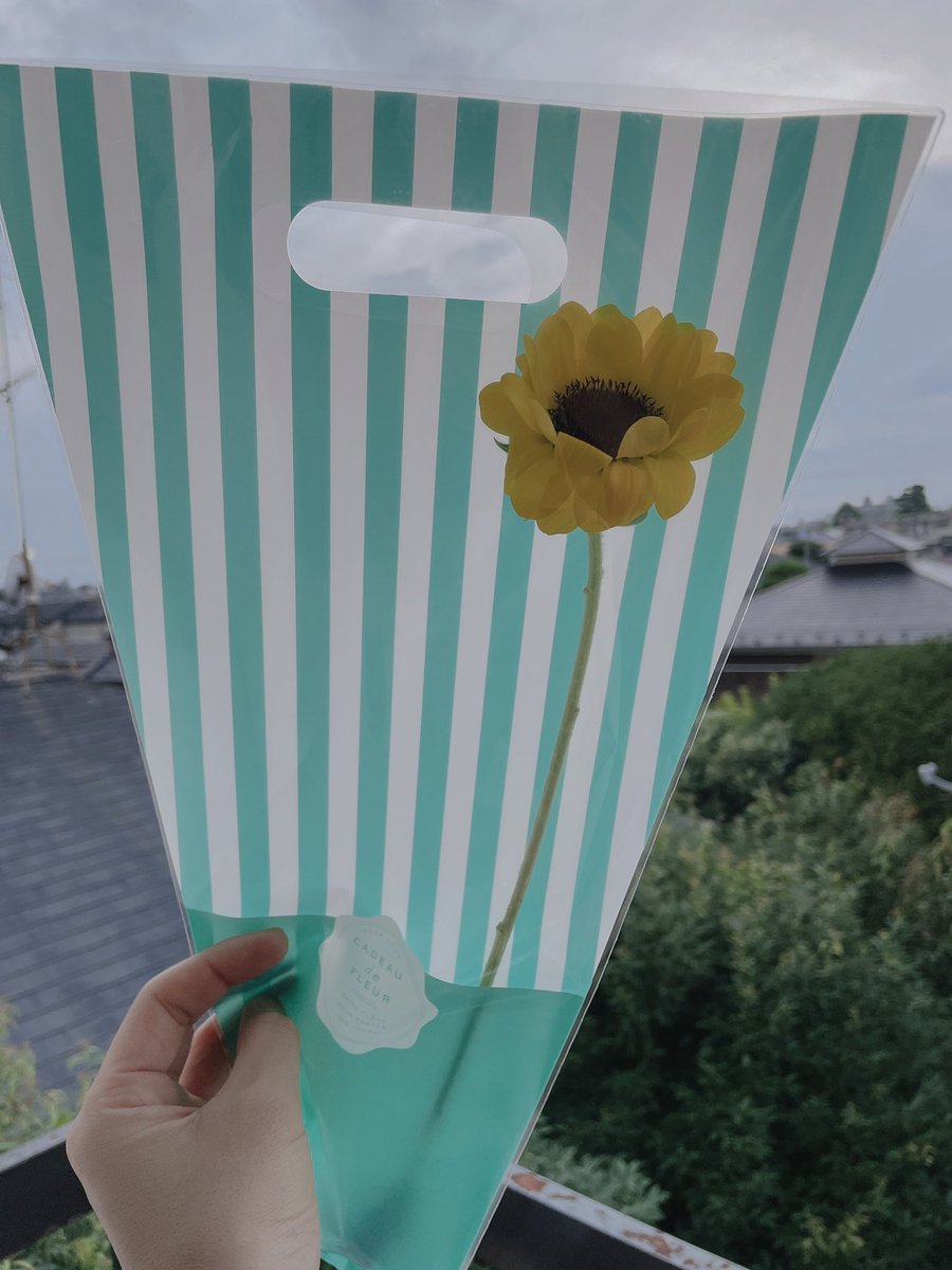 ᴇʟʟʏ ᴄᴀᴍɪsᴀᴍᴀ 下北沢のお花屋さんで熱海土砂災害募金をしてきました 100 以上の募金で 静岡県産のひまわりを1つ とても微力ですが いちにちも早い復旧復興を願っています