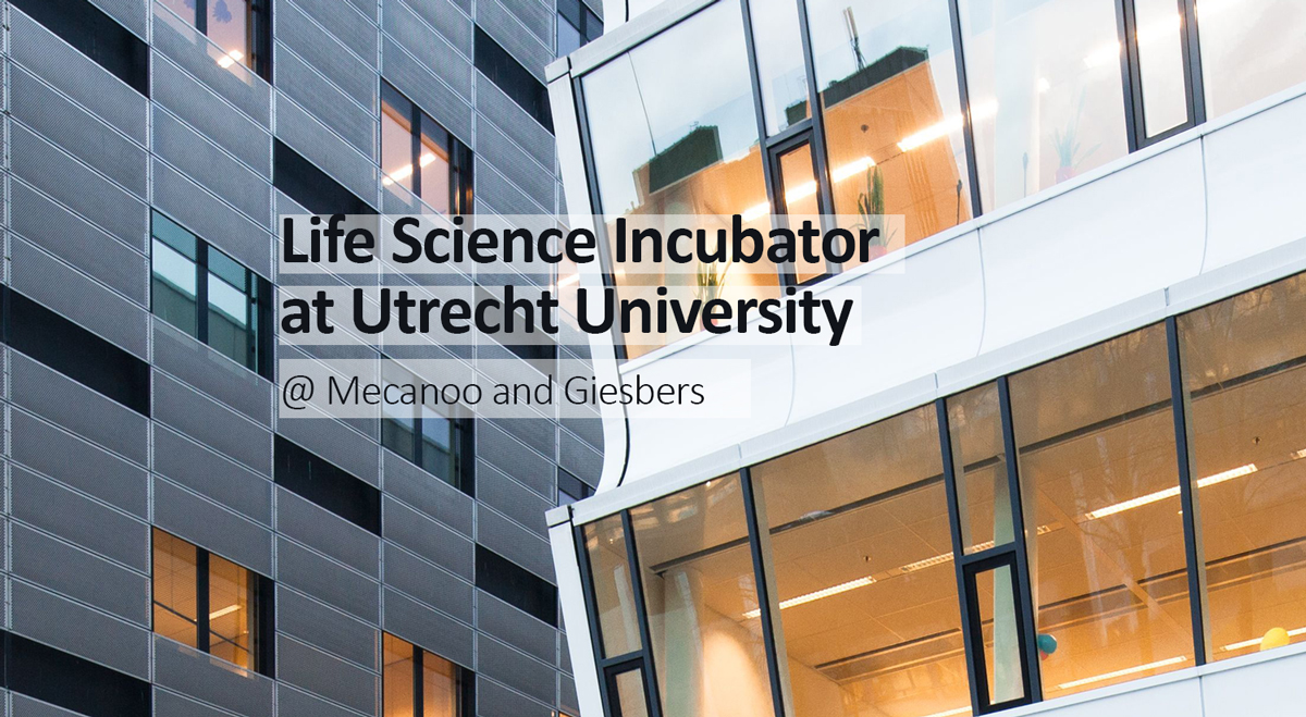 ongreening tweet media