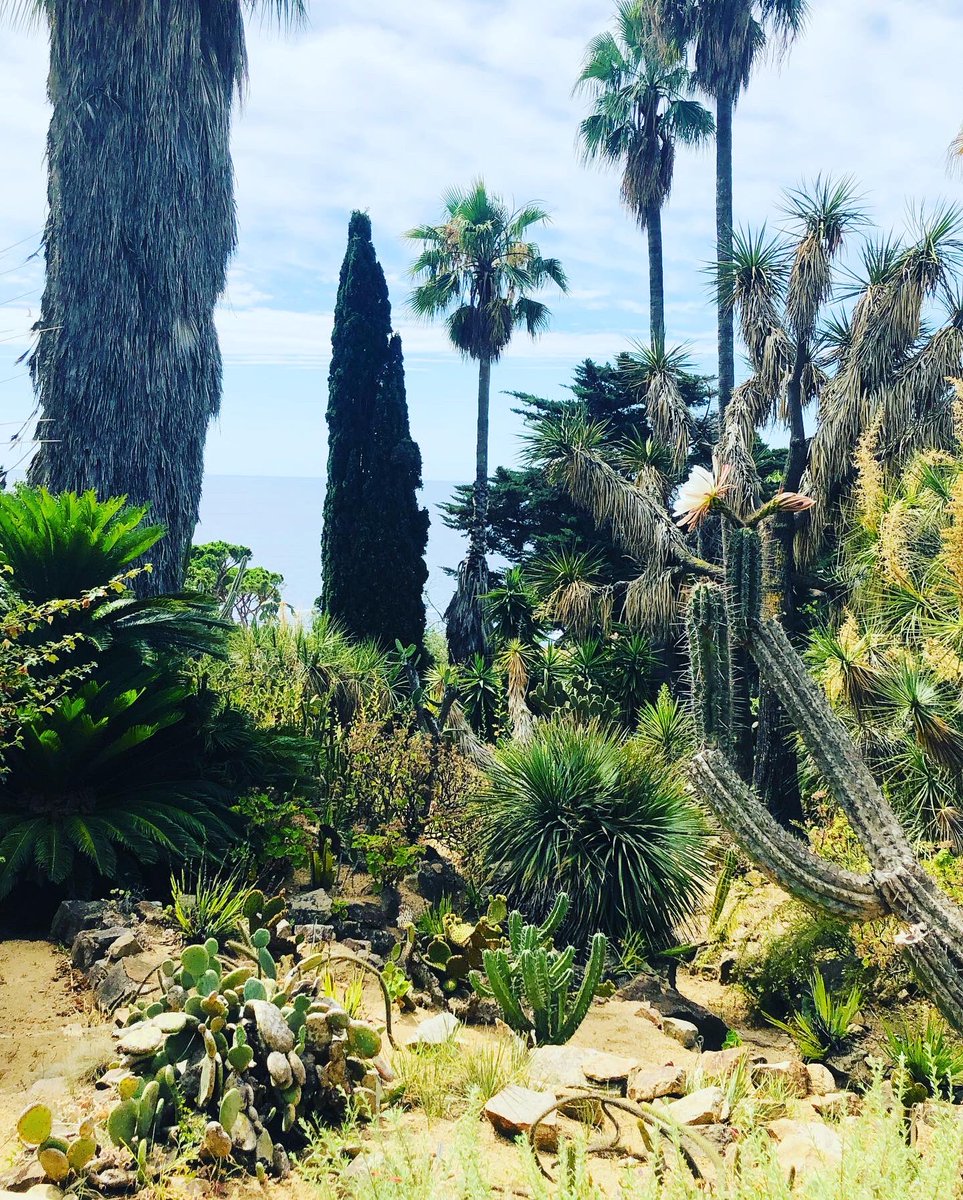 courlispenseur's tweet photo. #JardinBotanic #Blanes https://t.co/bk8VEvRKsJ