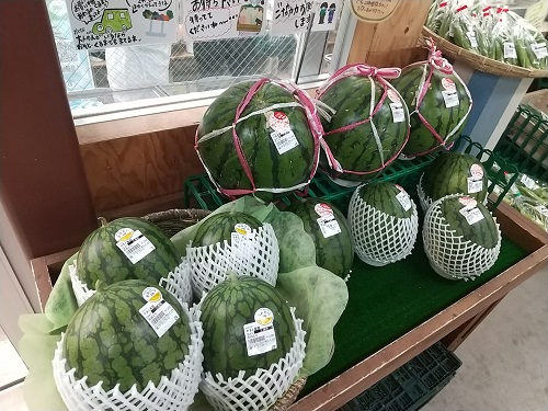 みんなの グリーンファーム 取り寄せ 口コミ 評判 食べたいランチ 夜ごはんがきっと見つかる ナウティスイーツ みんなの グリーンファーム 取り寄せ 口コミ 評判 食べたいランチ 夜ごはんがきっと見つかる ナウティスイーツ
