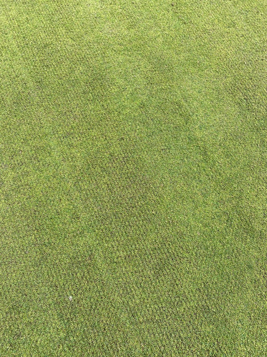 Redlibbets Greenstaff tweet media