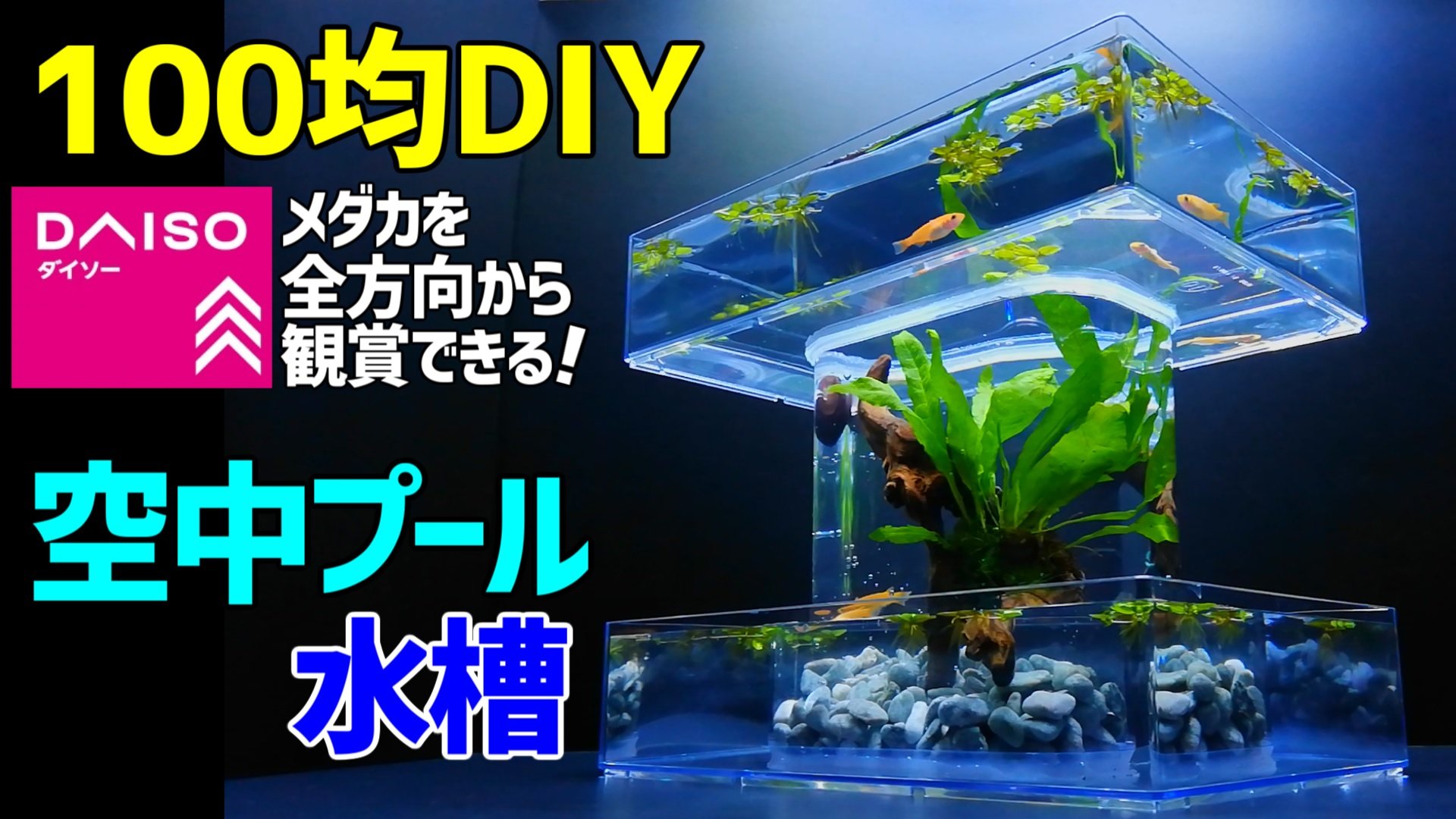 こっさんch 100均diy ダイソーアイテムで メダカの 空中プール水槽 を作りました 全方向からメダカを観賞出来るのでぜひご覧ください T Co 6nesiddzns T Co Z5demd8k2k Twitter