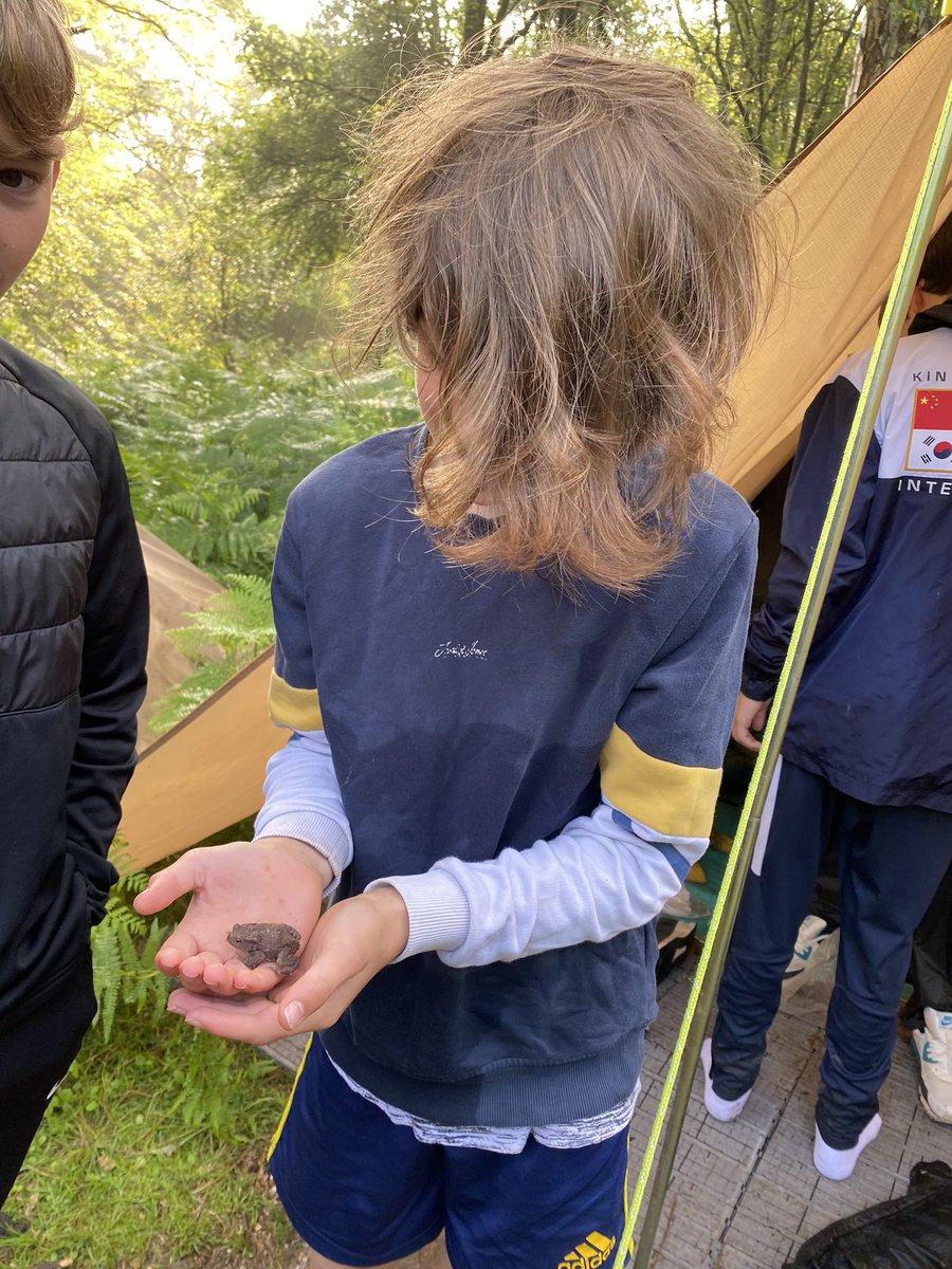 Year 8 are loving camp life and even had a little visitor this morning 🏕🐸 #yourprioryjourney #year8ontour #year8bushcraft