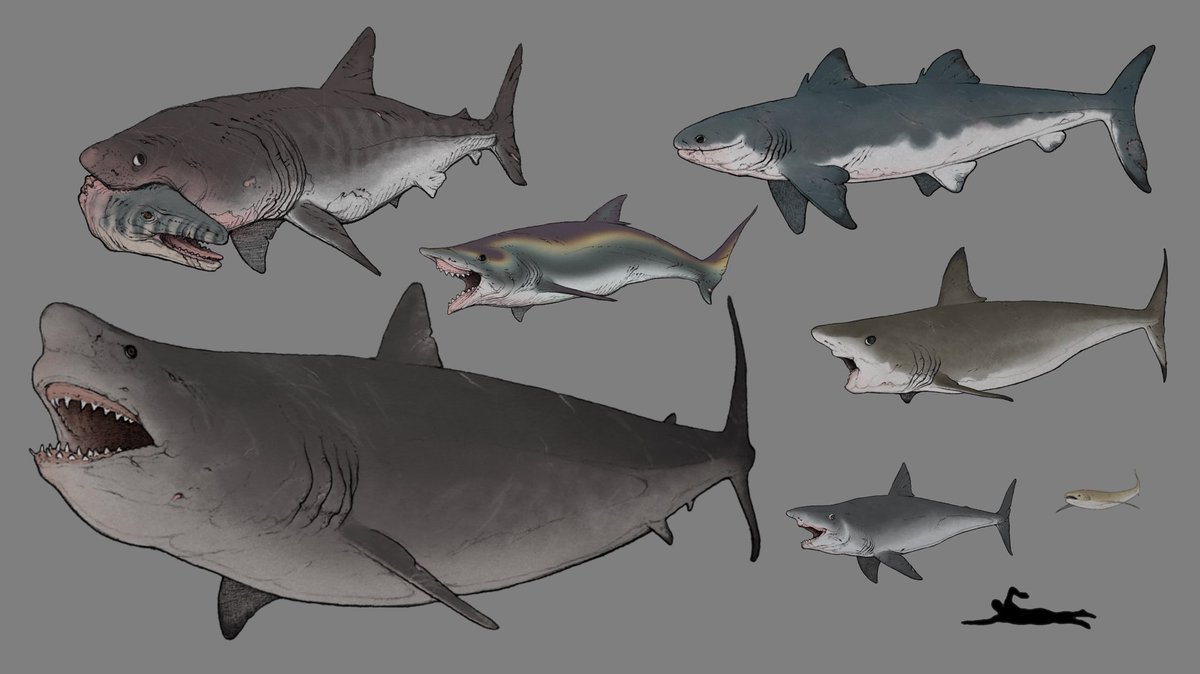 Solitudine Lasolitudine5 Twitter