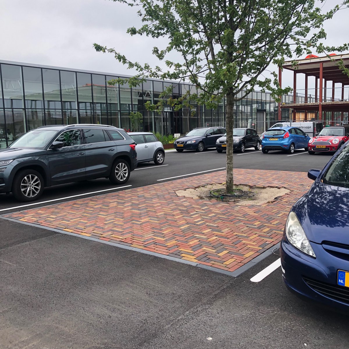 Net op locatie rondgekeken naar ons, OASE stedenbouw landschap, plan in uitvoering voor  Anthura B.V. Wat gaat het er mooi uitzien! De planten groeien hard, en het parkeren zit er strak in. <a href="/stephen_tas/">Stephen_Tas</a> <a href="/AnthuraBV/">Anthura</a>