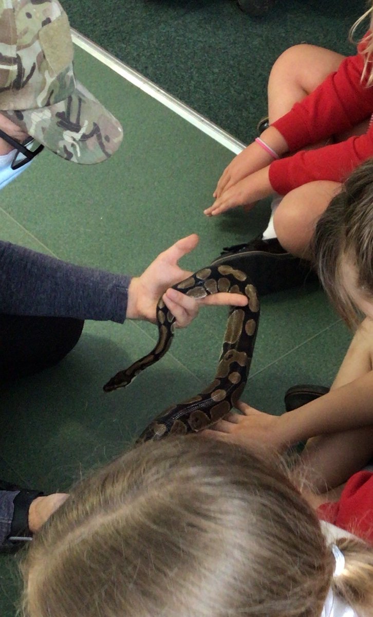 Eldwick Primary School tweet media