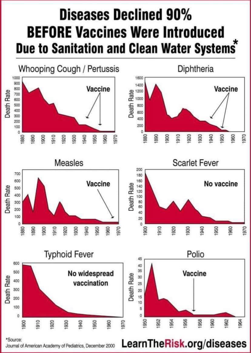 За све оне који ми главу пробише са "вакцина је цивилизацијска тековина"
Не... Употребом чисте воде и хигијенским мерама дошло је до пада свих обољења. Доказ Најтингејл, Семелвајс.
Ајде прочитајте шта су њих двоје урадили.
