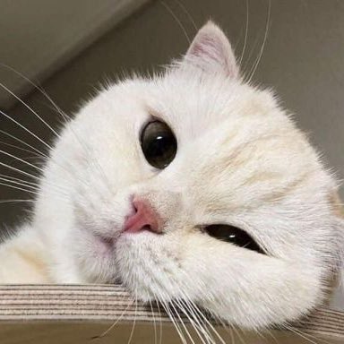 smallwonnie's tweet photo. https://t.co/0qkbIBUgbX