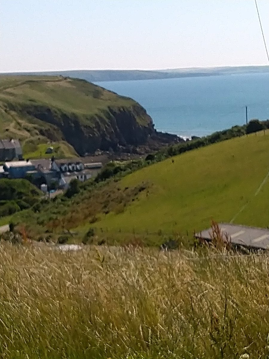 stella aldridge tweet media