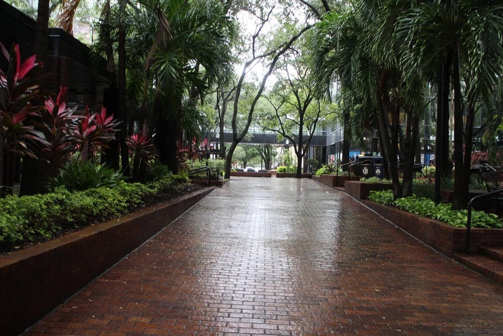 Just_Rotate's tweet photo. I've been wanting to ride my bike on the Riverwalk for months now. I was finally able to bring it out yesterday, but the weather said nope. (Bolts celebration was rained out too) 

At least it cleared up long enough to walk around a bit before dark. … https://t.co/jXUMJkj0wG https://t.co/LFEsf31yVG