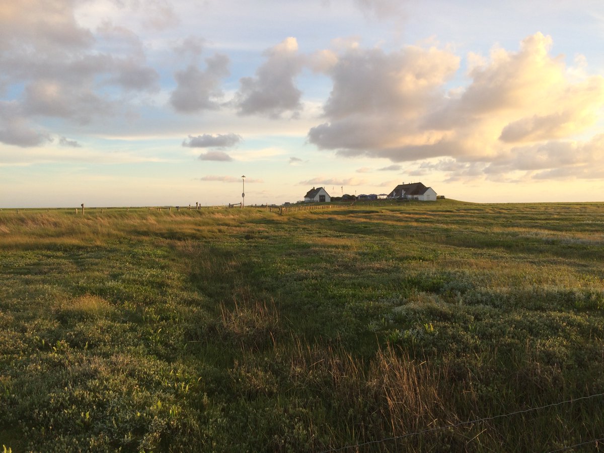 MiriamFu2's tweet photo. Field work during summer time makes me almost forget about all crazy winter storms @ExperimentMerit 🙂☀️🌊🧡 https://t.co/V2Mwsk9Ueb