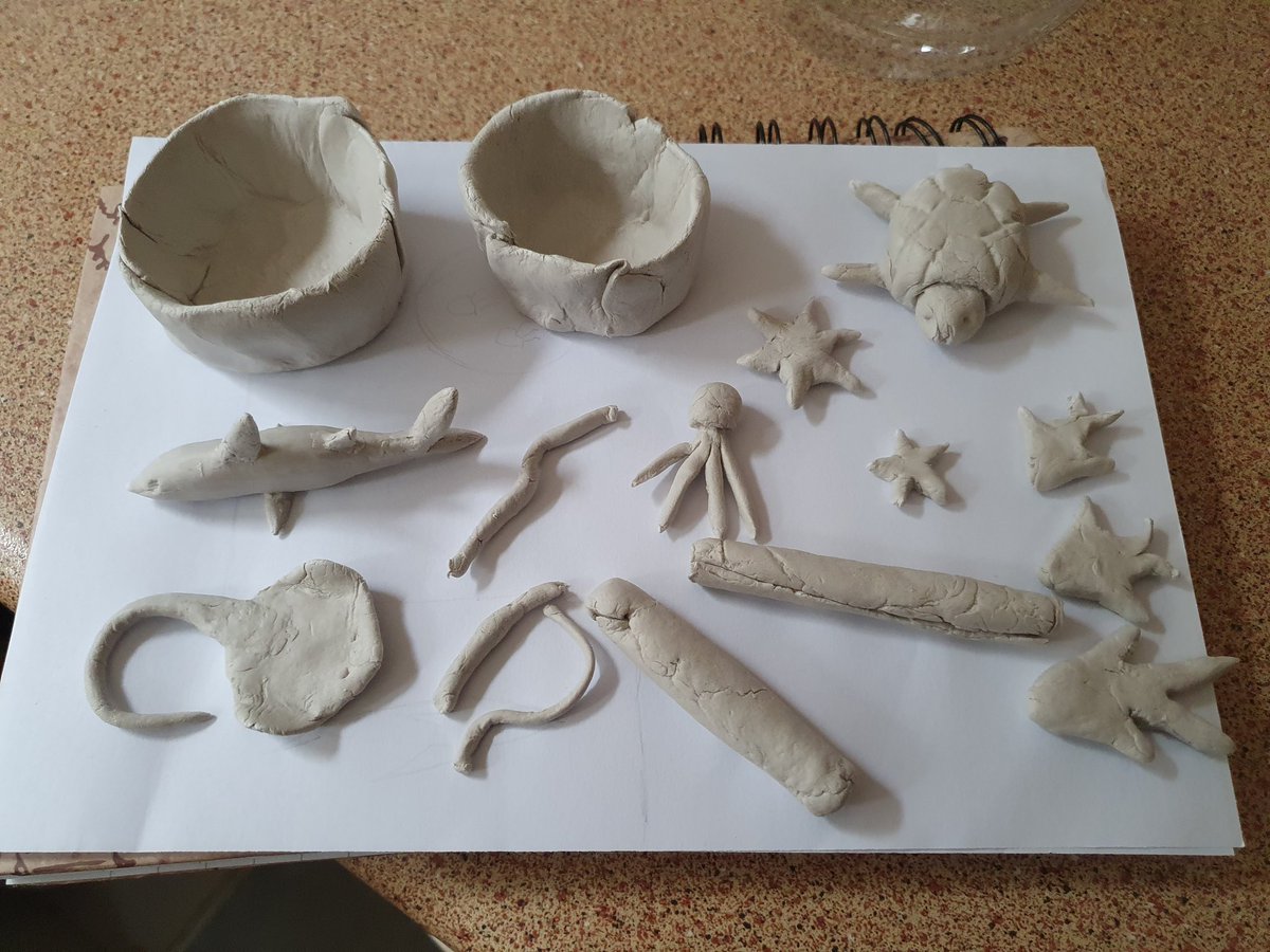 ZoeMeredith5's tweet photo. @Year3and4MAPS Aoife has been busy with art. She's done a simple design plan for her own aquarium and started to cut and make bits for a 3d model. Just need to paint, glue and set things in their places https://t.co/rLkvmz13yb