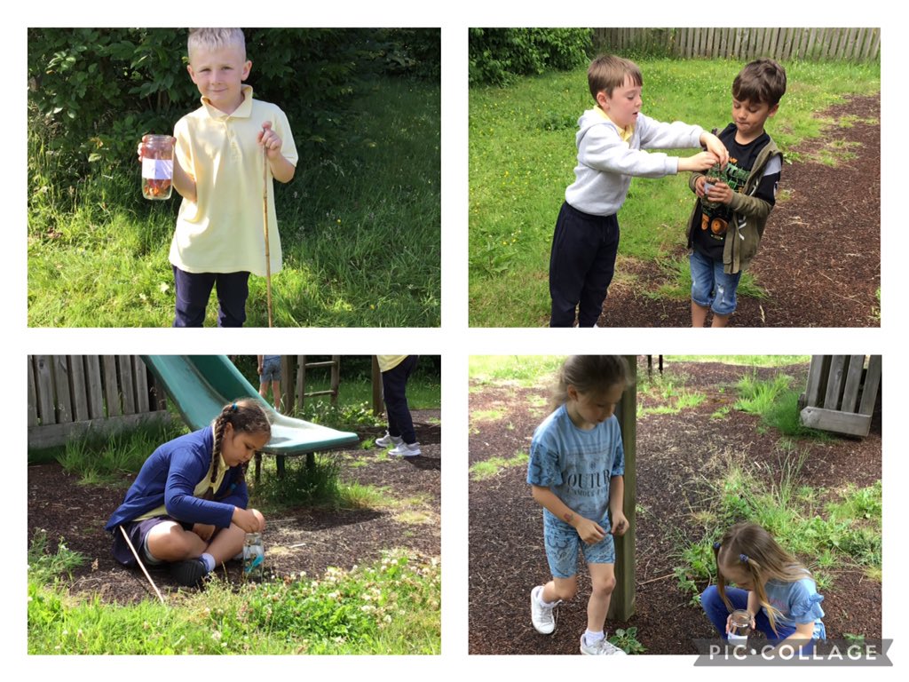 Dosbarth Cardiff City tweet media