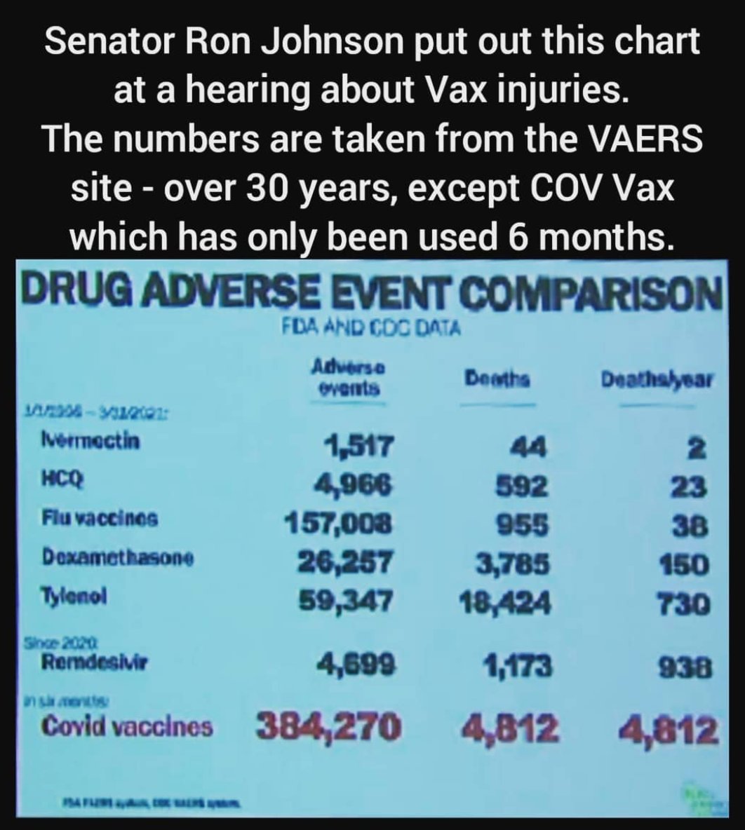 The Hemp News tweet media