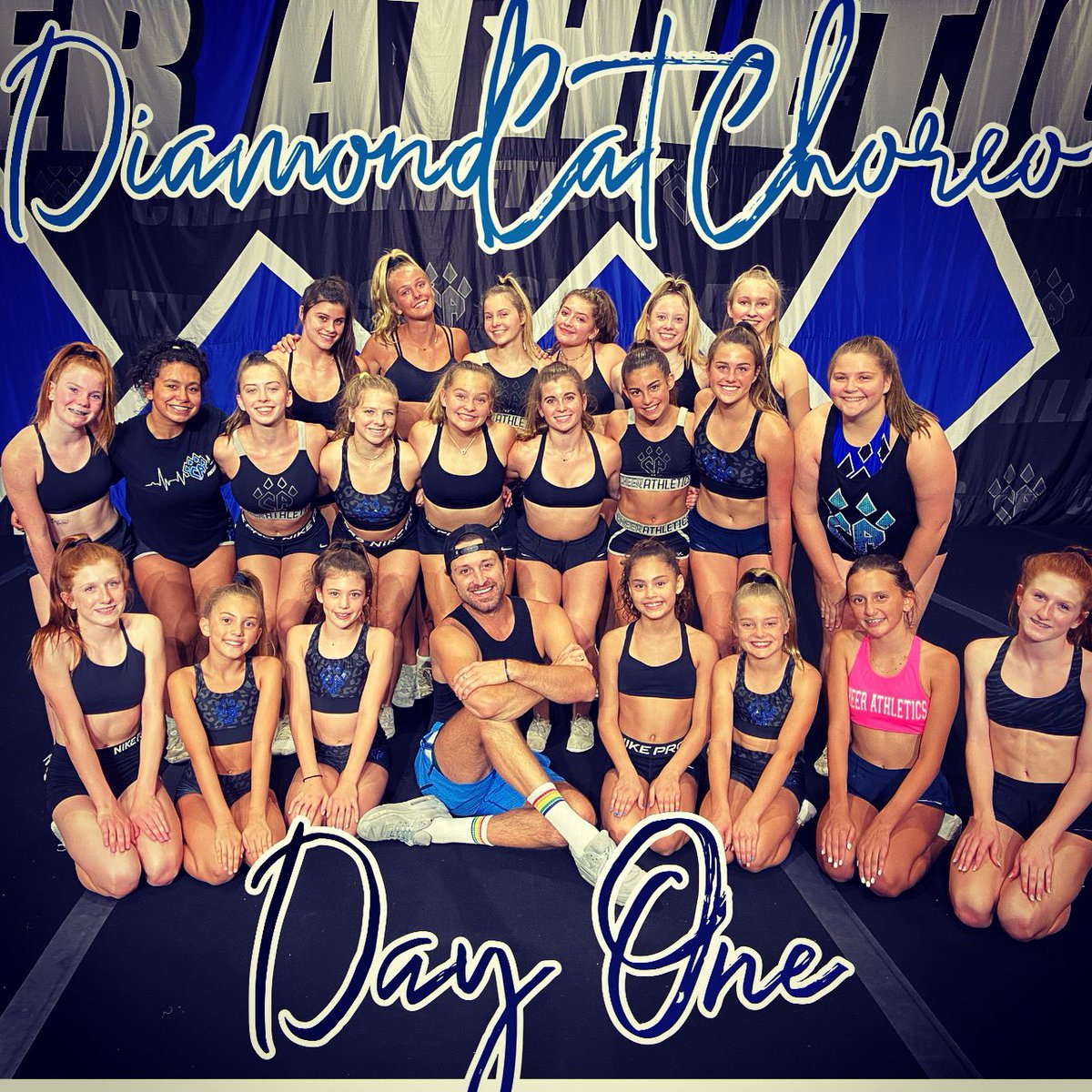 CA_DiamondCats (@ca_diamondcats) on Twitter photo 