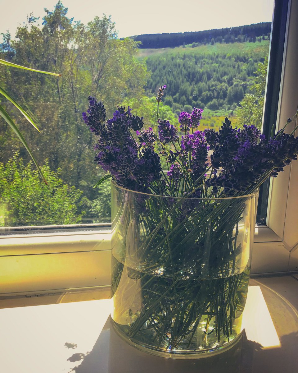 Freshly cut from our front garden today, several bushes line the path and overhang, so its great to trim them back and make the most of them in the house! 🥰